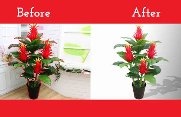 Flower Clipping Path Before And After File